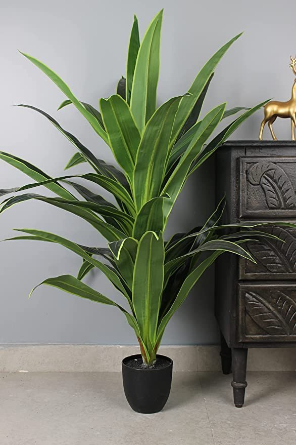 Elemntl Artificial Large Floor Plant with Plastic Pot for Home Decor (Height: 4 feet) | Decoration Items for Living Room | Decorative Table Top Indoor Plants Bonsai for Office (Dragon Plant 4 feet) - Image 3