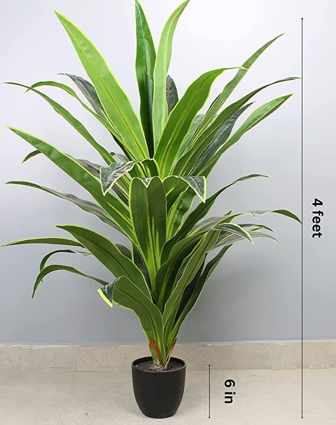 Elemntl Artificial Large Floor Plant with Plastic Pot for Home Decor (Height: 4 feet) | Decoration Items for Living Room | Decorative Table Top Indoor Plants Bonsai for Office (Dragon Plant 4 feet) - Image 2