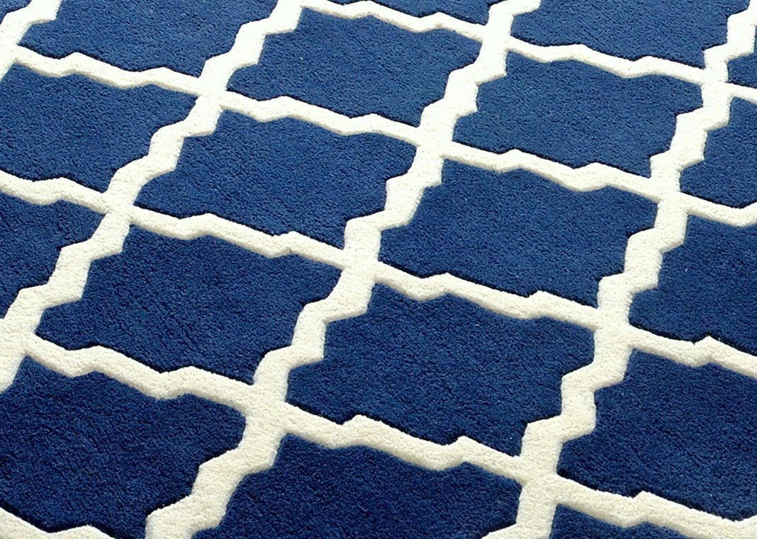 Blue Trelis Rug - Image 2
